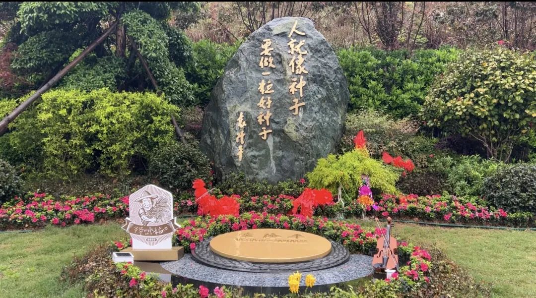 禾下乘涼夢，一稻一人生 我們永遠(yuǎn)懷念袁爺爺 #安全用電你我湘聯(lián)